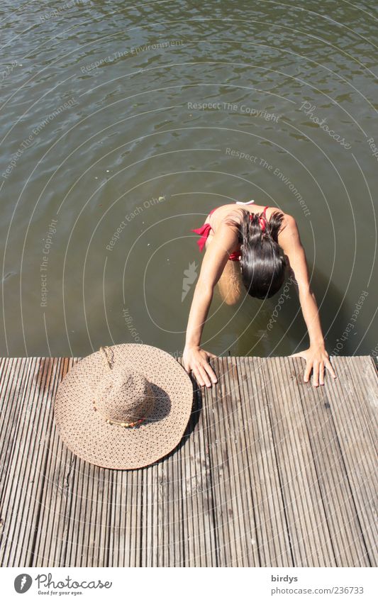And the hat looks on Swimming & Bathing Summer Young woman Youth (Young adults) 1 Human being 18 - 30 years Adults Water Beautiful weather Lakeside Relaxation