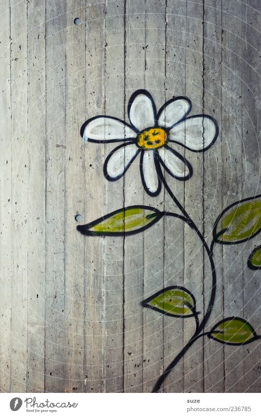 An adult from the ghetto Environment Flower Wall (barrier) Wall (building) Facade Graffiti Authentic Friendliness Happiness Cute Beautiful Gray Growth Drawing