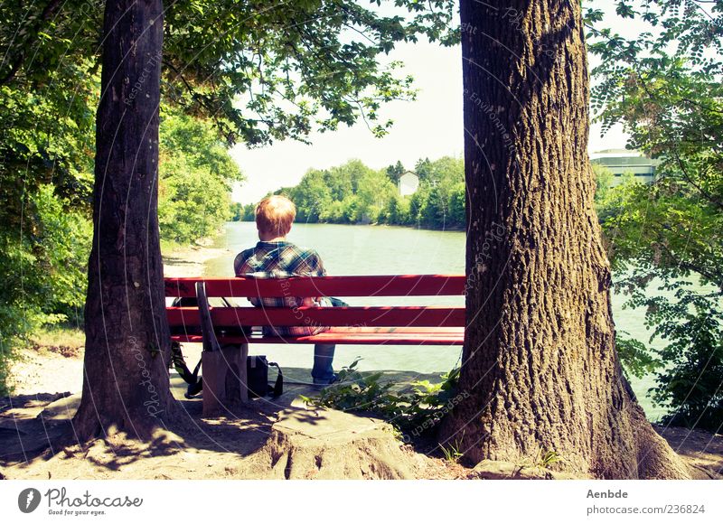 rest Joy Happy Vacation & Travel Trip Bench Human being Masculine Life 1 Environment Nature Water Summer Beautiful weather Tree Forest River bank Shirt