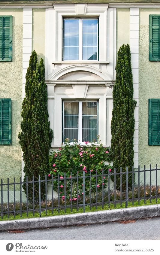 Cypresses in front of the house House (Residential Structure) Dream house Wall (barrier) Wall (building) Facade Window Esthetic Elegant Green Shutter