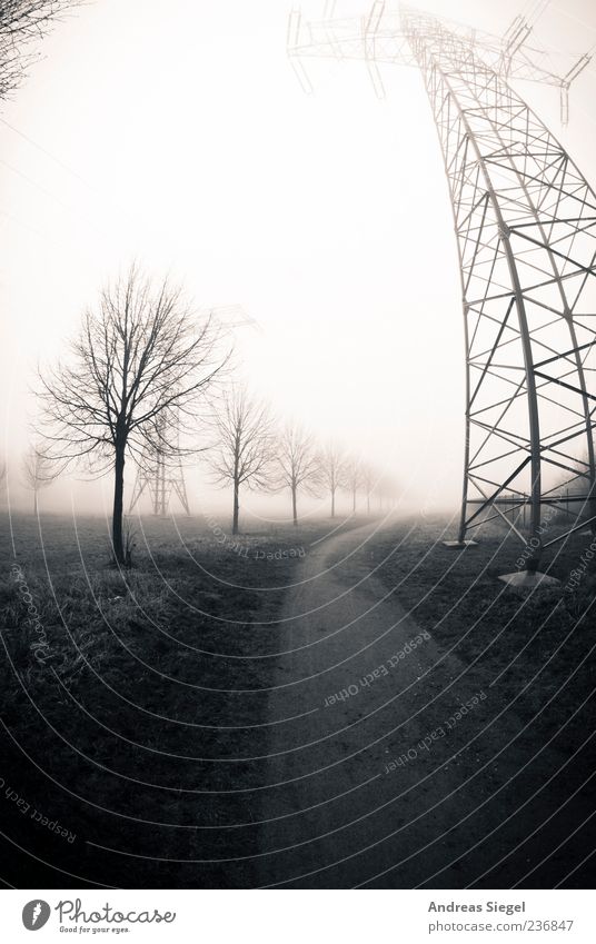 The way Technology Energy industry High voltage power line Electricity pylon Environment Nature Landscape Bad weather Fog Tree Meadow Field Lanes & trails