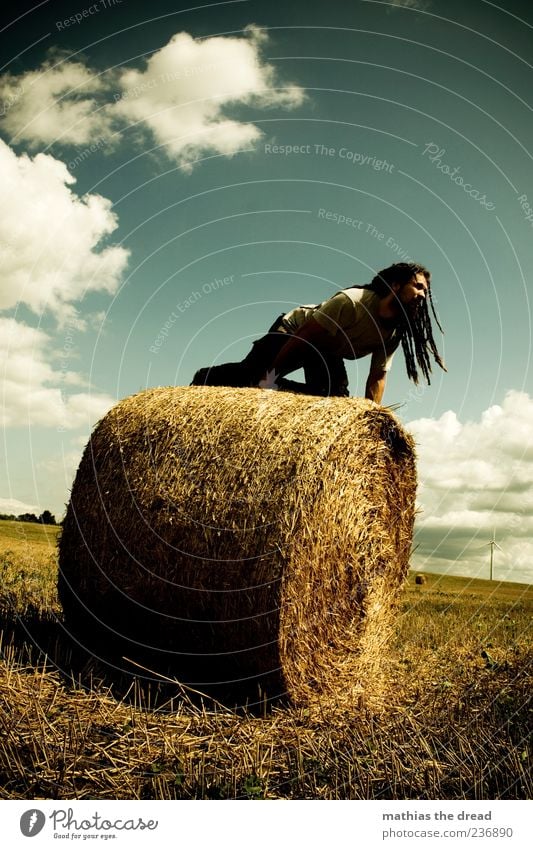 On the lookout Lifestyle Elegant Style Human being Masculine Young man Youth (Young adults) 18 - 30 years Adults Environment Nature Landscape Plant Sky Clouds