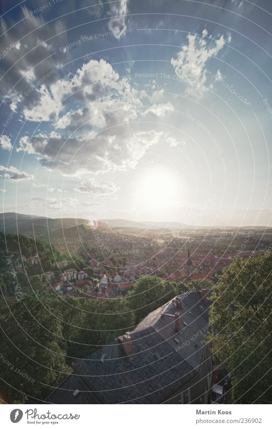 In the Harz Sun Sunlight Summer Beautiful weather Wernigerode Small Town Esthetic Historic Colour photo Exterior shot Aerial photograph Bird's-eye view