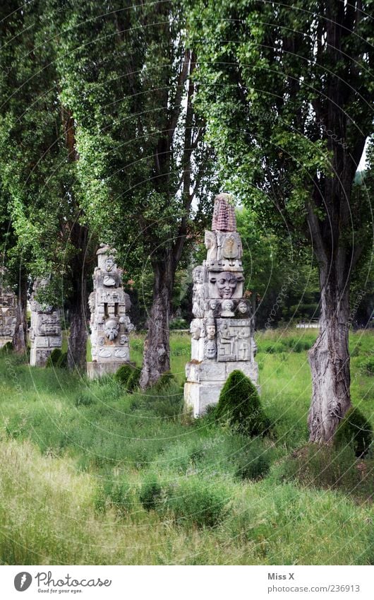 far away Vacation & Travel Expedition Sculpture Tree Grass Park Old Exotic Statue Stone Regensburg Colour photo Exterior shot Deserted Nature Meadow Culture Art