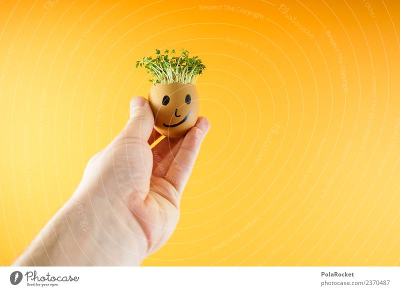 #S# Don Kressos IV Food Happy Joy Egg Hand Easter Cress Art Creativity Joke Orange Plant Sustainability Ecological Growth Face Infancy Handicraft Fresh