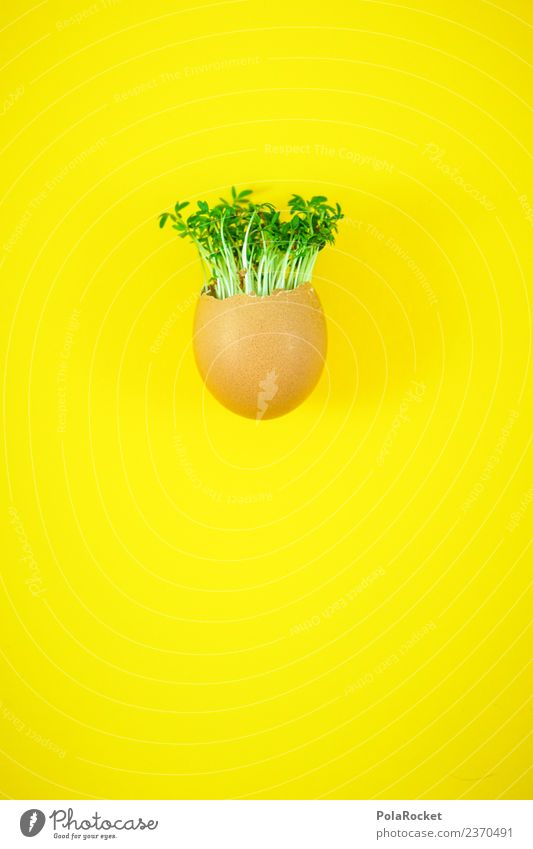 #S# Egg egg cress Food Joy Easter Cress Art Esthetic Joke Green Plant Yellow Sustainability Ecological Growth Hair and hairstyles Hair Stylist Infancy