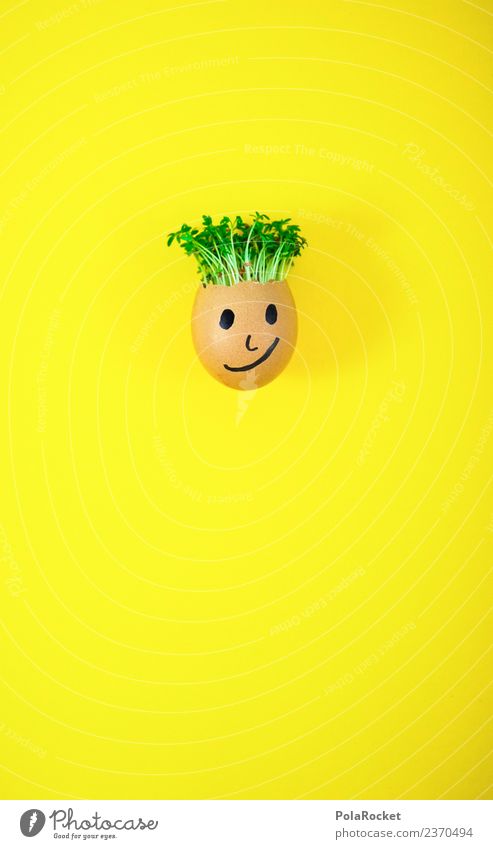 #S# Don Kressos V Food Happy Egg Yellow Easter Cress Creativity Joke Plant Sustainability Ecological Growth Face Infancy Handicraft Fresh Cool (slang)
