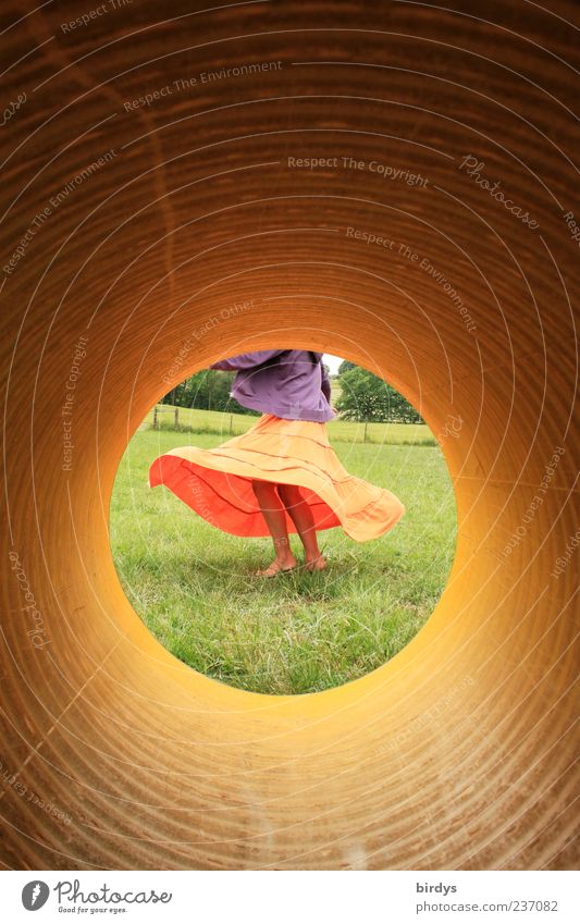 Woman dancing barefoot in a meadow with flowing skirt. View through a tube Feminine Young woman Youth (Young adults) 1 Human being Rotate Dance Esthetic