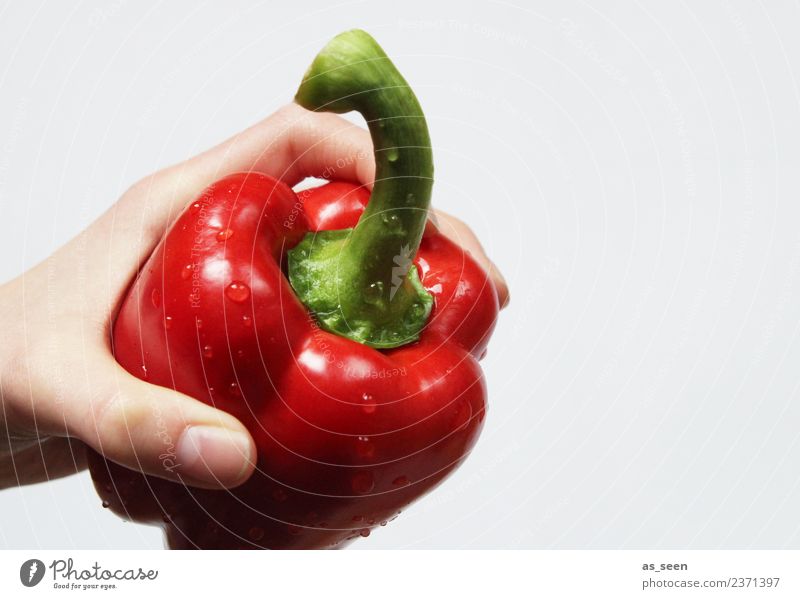 Fresh red pepper Vegetable Pepper Nutrition Eating Organic produce Vegetarian diet Diet Healthy Wellness Life Well-being Senses Fruit To hold on Exotic