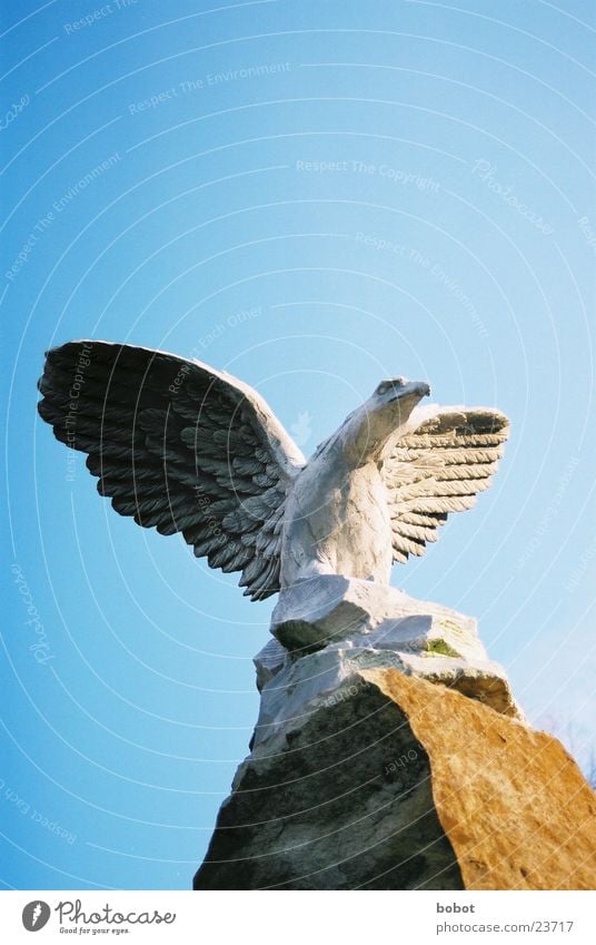 Stoned IV Statue Eagle Stagnating Feather Sunrise Concrete Art Sculpture Bird Craft (trade) Bird of prey Wing Flying Sky Blue petrified whoiscocoon
