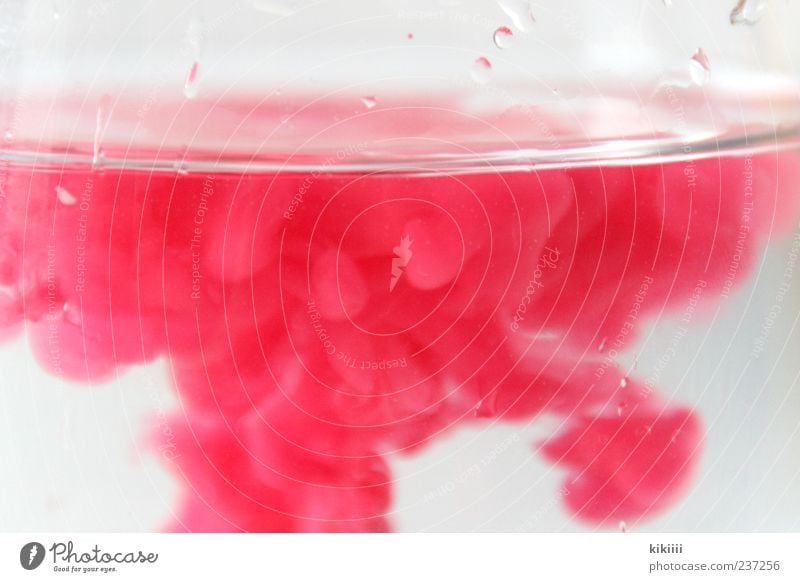 smoke Pink Water Colour Dye Drops of water Surface Structures and shapes Fusion Red Dyeing Exceptional Fluid Flow Deserted Glass container Close-up Detail