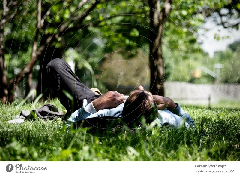 Relax. Lifestyle Harmonious Well-being Contentment Relaxation Calm Leisure and hobbies Freedom Summer Sunbathing Spring Park Meadow Emotions Grass Lunch hour