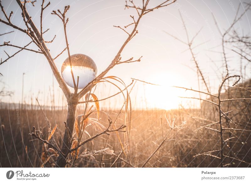 Sunrise reflecting in a crystal ball in a tree Beautiful Meditation Vacation & Travel Winter Snow Christmas & Advent Environment Nature Landscape Sky Autumn