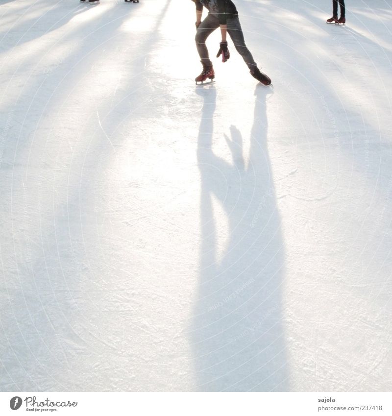 art on ice Sports Winter sports Sportsperson Ice art Skating rink Frozen surface Human being Frost Esthetic White Shadow play Visual spectacle Colour photo