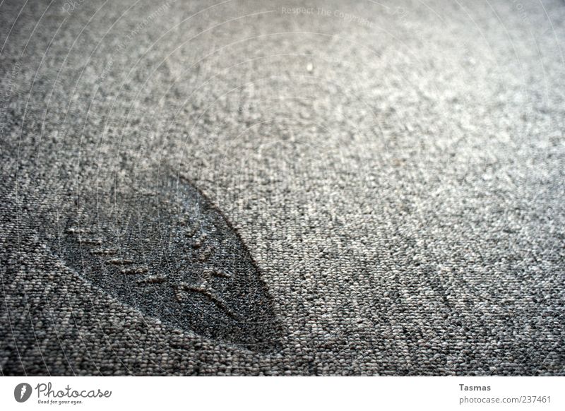 lasting impression Carpet Electric iron To fall Hideous Burnt Imprint Structures and shapes Broken Gray Colour photo Close-up Detail Macro (Extreme close-up)