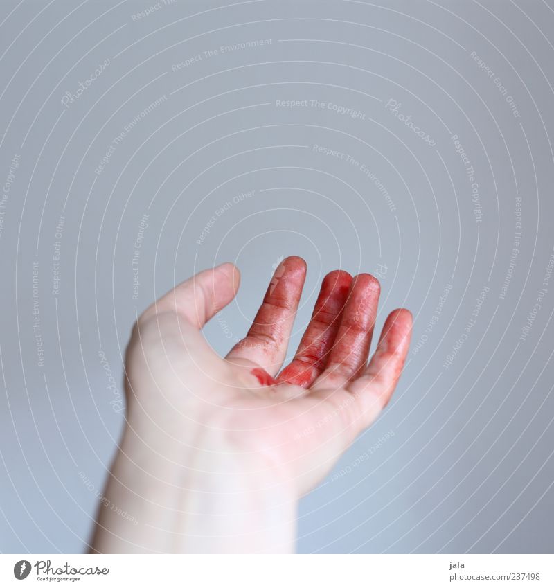 bloody fingers Hand Fingers Blood Fluid Red Pain Wound Indicate Colour photo Interior shot Copy Space top Neutral Background Day 1 Cut Hemorrhage Accident
