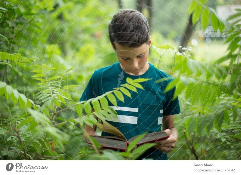 Concept for education in nature - boy in forest reading book Leisure and hobbies Reading Summer School Study Human being Boy (child) Man Adults Infancy