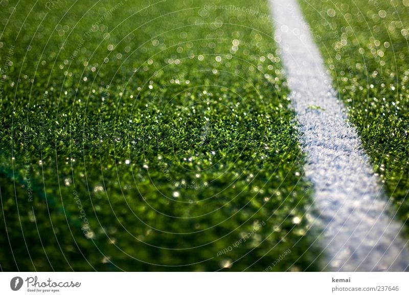 touchline Line Soccer Sporting Complex Football pitch Artificial lawn artificial turf pitch Glittering Green White Blade of grass Colour photo Exterior shot