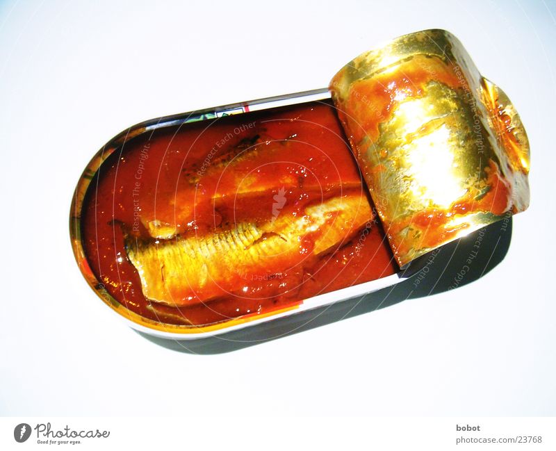 Fish in tomato Sauce Seafood Tin Tin of food Fishery Nutrition Tomato Oil