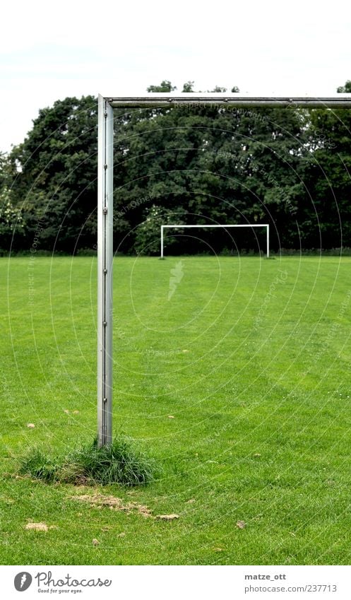 Goal in goal Leisure and hobbies Ball sports Soccer Sporting Complex Football pitch Pole Grass green Green Calm Loneliness Soccer Goal Goalpost corner Tree
