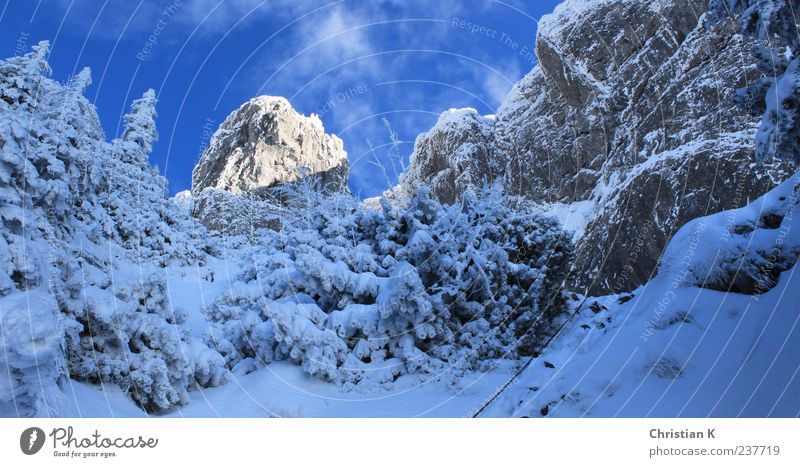 towards the sun Leisure and hobbies Nature Landscape Air Sky Winter Ice Frost Snow Bushes Wild plant Rock Mountain Peak Snowcapped peak Stone Cold Above Blue