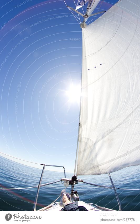 sail away Calm Leisure and hobbies Sailing Vacation & Travel Freedom Summer Sun Ocean Nature Water Cloudless sky Sunlight Beautiful weather Baltic Sea