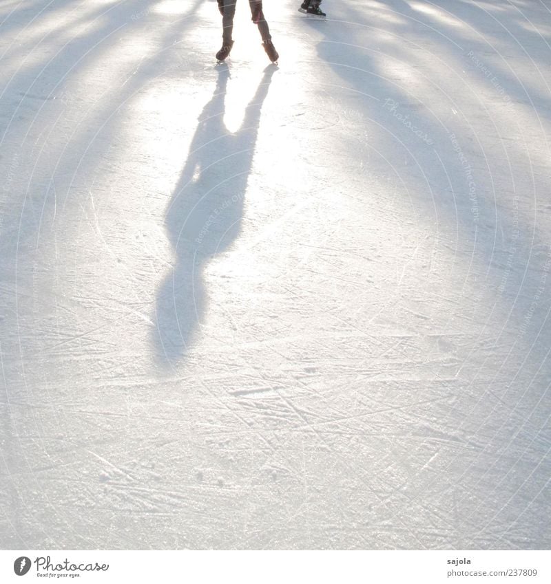 art on ice II Leisure and hobbies Sports Winter sports Sportsperson Ice art Sporting Complex Skating rink Human being 1 Stand Esthetic White Shadow play