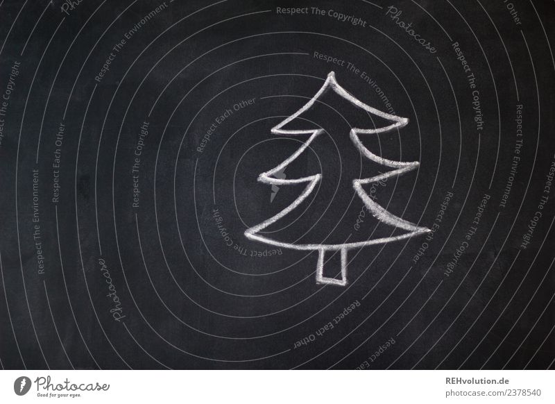 board drawing | fir tree Feasts & Celebrations Christmas & Advent Tree Exceptional Uniqueness Black White Fir tree Christmas tree Drawing Blackboard Chalk