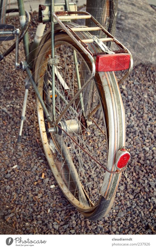 flat foot Lanes & trails Bicycle Stand Old Broken Parking Flat tire Level Wheel Rust Rear light Reflector Disposed of Gravel path Guard Wheel rim Colour photo