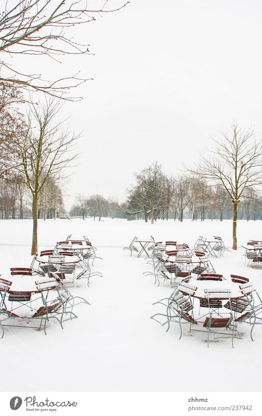 ice age Restaurant Winter Snow Tree Park Cold White Café Table Chair Meadow Covered Bleak Loneliness Empty Deserted Colour photo Subdued colour Exterior shot