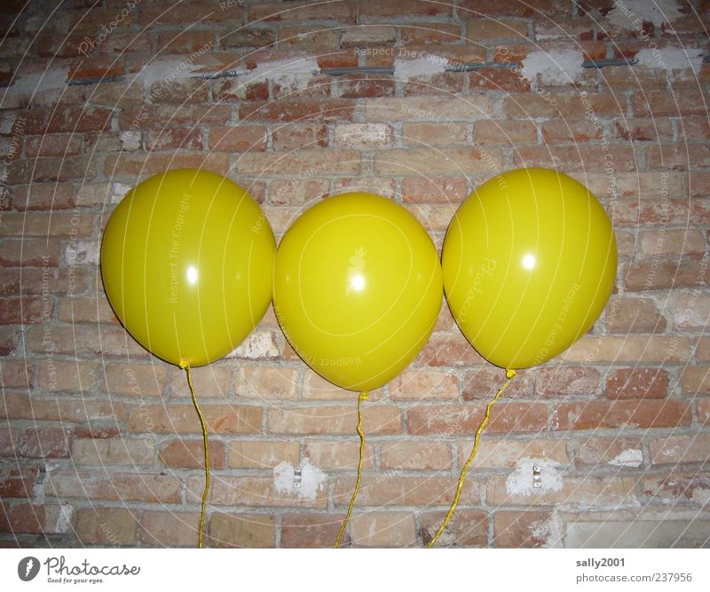 The 3 aircrafts Leisure and hobbies Playing Balloon Carnival Wall (barrier) Wall (building) Feasts & Celebrations Flying Happiness Round Yellow Life Happy