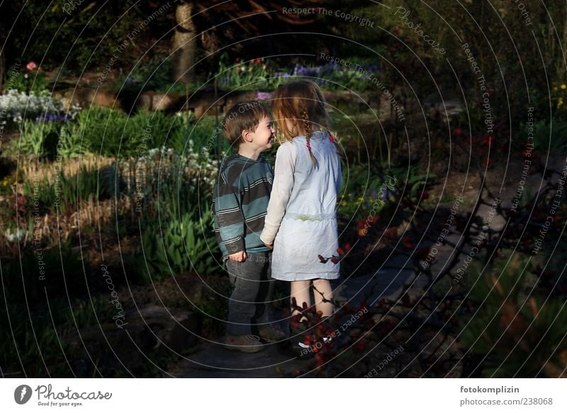 Hansel and Gretel children Playing Child Girl Boy (child) Brothers and sisters Sister Friendship Infancy Garden Love Stand Near Emotions Moody Happy Happiness
