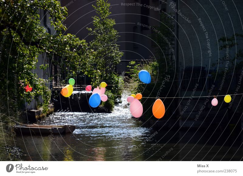 party Feasts & Celebrations Brook River Waterfall Multicoloured Colour Balloon Colour photo Exterior shot Close-up Deserted Copy Space top Copy Space bottom