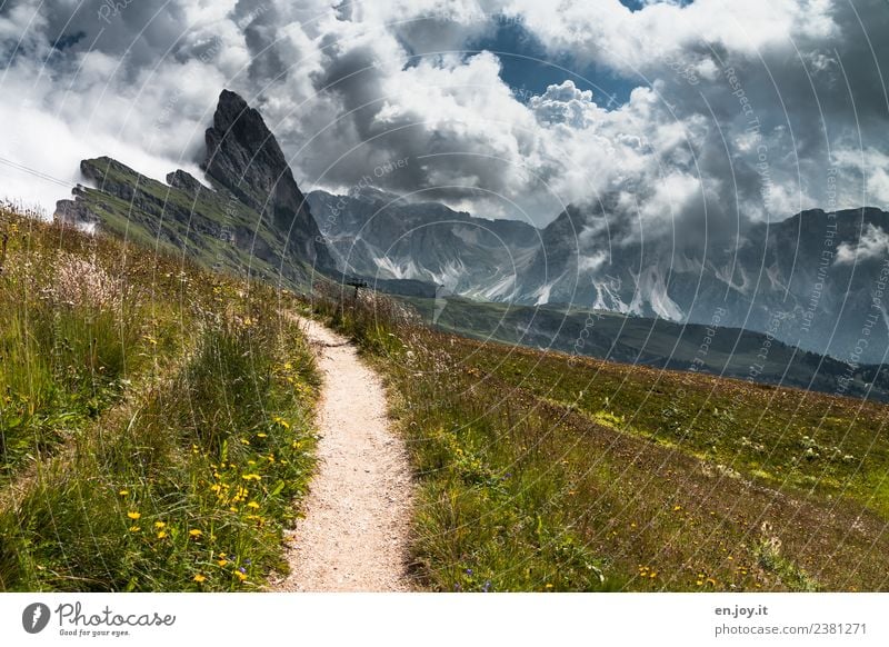 This way Vacation & Travel Tourism Trip Adventure Far-off places Freedom Summer Summer vacation Mountain Hiking Nature Landscape Sky Clouds Storm clouds Climate