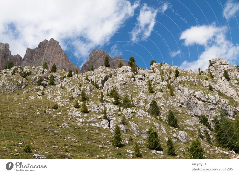 Rocky Vacation & Travel Trip Mountain Hiking Environment Nature Plant Sky Fir tree Coniferous trees Spruce Meadow Alps Dolomites Peak South Tyrol Relaxation
