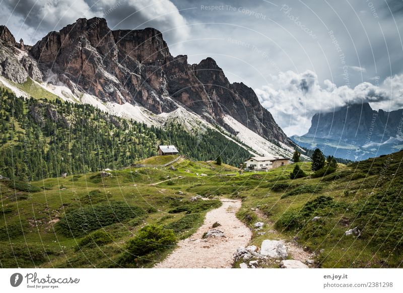 footpath Vacation & Travel Tourism Trip Adventure Far-off places Summer Summer vacation Mountain Hiking Nature Landscape Storm clouds Meadow Rock Alps stevia