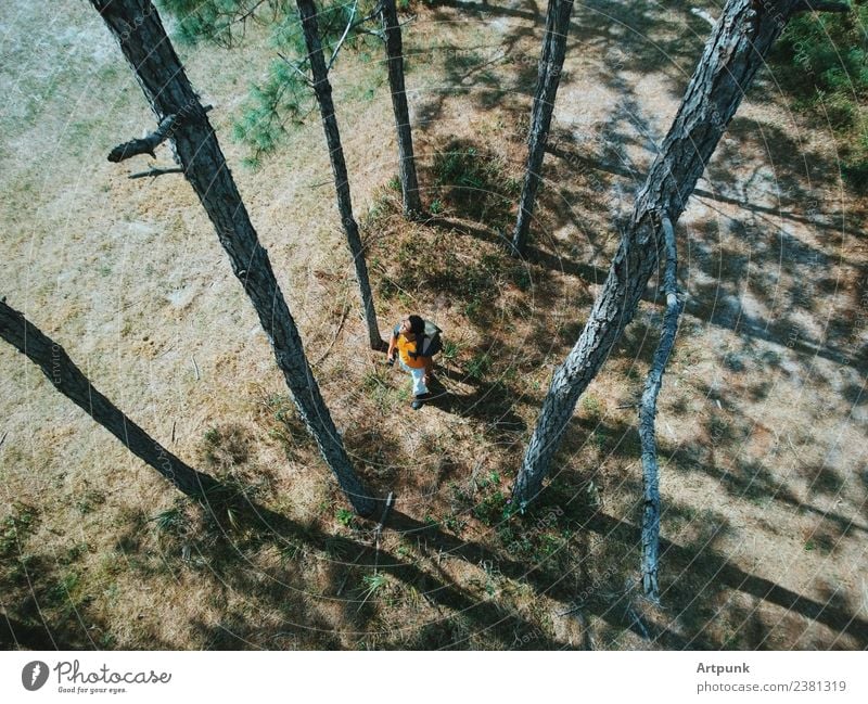 Aerial view of a hiker walking through the woods. Forest Hiking Backpack Tree Boots Nature Exterior shot Lanes & trails Park Camping Green Brown Grass Leaf
