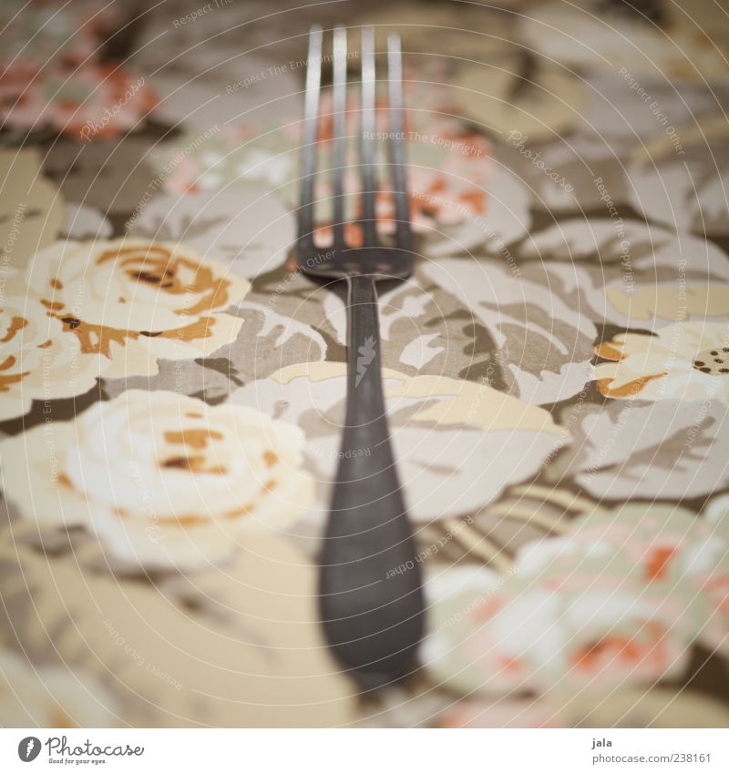 fork Cutlery Fork Esthetic Silver Lie Close-up Colour photo Interior shot Deserted Copy Space left Copy Space right Tablecloth 1 Flowery pattern Blur