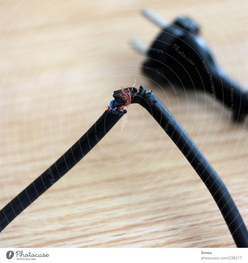 Chewing cable instead of chewing bone Cable Connector Electrical wire Broken Black Energy Electricity cable break Bend Colour photo Interior shot Detail