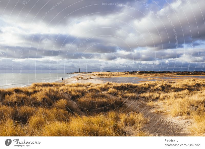 Skagen Grenen Vacation & Travel Tourism Trip Adventure Far-off places Freedom Expedition Beach Ocean Waves Hiking Closing time 1 Human being Landscape Sand