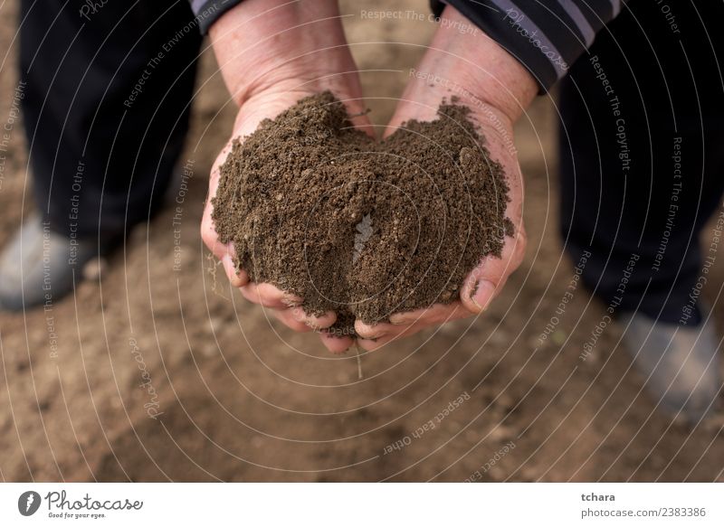 Save the Nature Garden Work and employment Gardening Human being Woman Adults Man Hand Fingers Environment Earth Sand Growth Dirty Wet Natural Brown Black land
