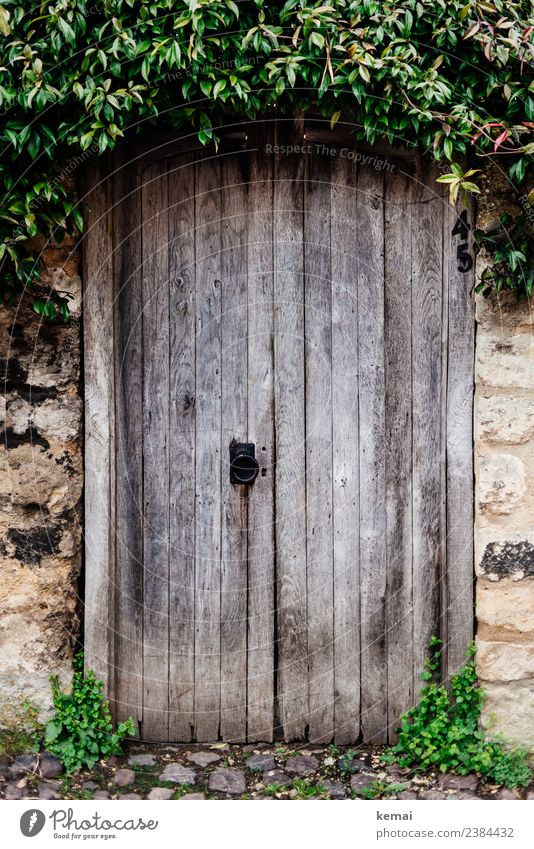 Locked door with hood Harmonious Calm Trip City trip Plant Bushes Foliage plant Village Small Town Old town Wall (barrier) Wall (building) Door Wooden door