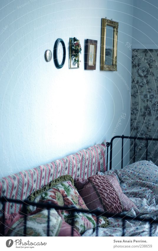 the place I dream of. Bed Bedstead Cushion Mirror Picture frame Wallpaper Wallpaper pattern Duvet Exceptional Uniqueness Retro Living or residing Bedroom