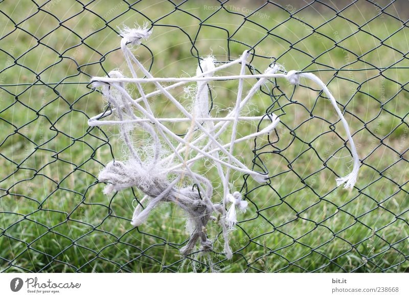 patchwork Nature Meadow Save Poverty Broken green Creativity Destruction Fence Gap in the fence Repair Problem solving String Hollow Enclosure