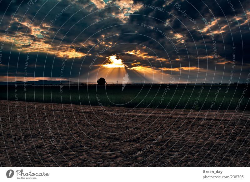 Sun vs. clouds Clouds Sunrise Sunset Might Dannstadt cloud play Colour photo Evening Twilight Sunbeam Panorama (View) Landscape Field Meadow Clouds in the sky