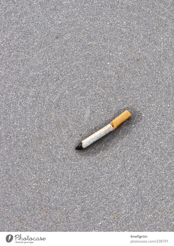 addiction Cigarette Lie Smoking Broken Wet Round Brown Gray White Emotions Judicious Remorse Debauchery Disgust Addiction Dependence Asphalt