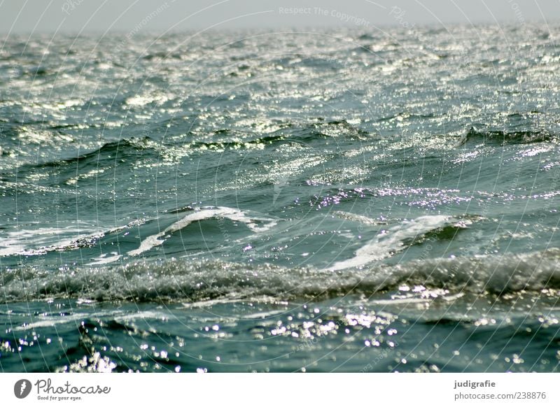 Baltic Environment Nature Water Waves Baltic Sea Ocean Movement Infinity Wet Natural Wild Moody Colour photo Exterior shot Deserted Day Light Reflection