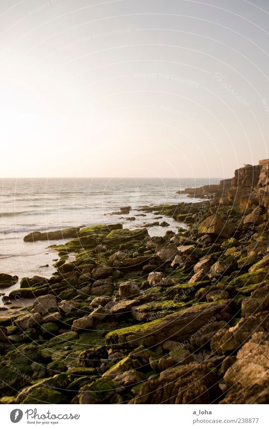 yearning for the sea Nature Landscape Elements Water Cloudless sky Horizon Sunrise Sunset Summer Beautiful weather Rock Coast Beach Ocean Stone Natural