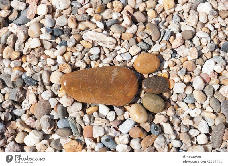 Stones in the shape of footprint Design Joy Vacation & Travel Beach Human being Feet Nature Sand Rock Paw Rust Footprint Together Natural Brown Yellow Black