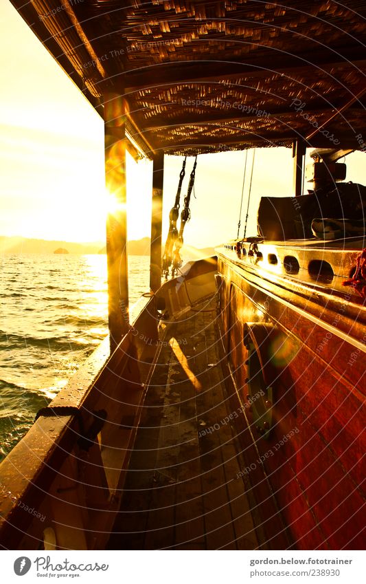 sundown Vacation & Travel Far-off places Freedom Cruise Summer Summer vacation Sun Ocean Waves Navigation Boating trip Yacht Sailing ship On board Yellow Gold